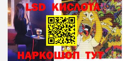 стаф Ярославль