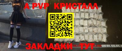 стаф Ярославль