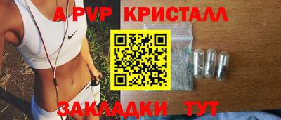стаф Ярославль