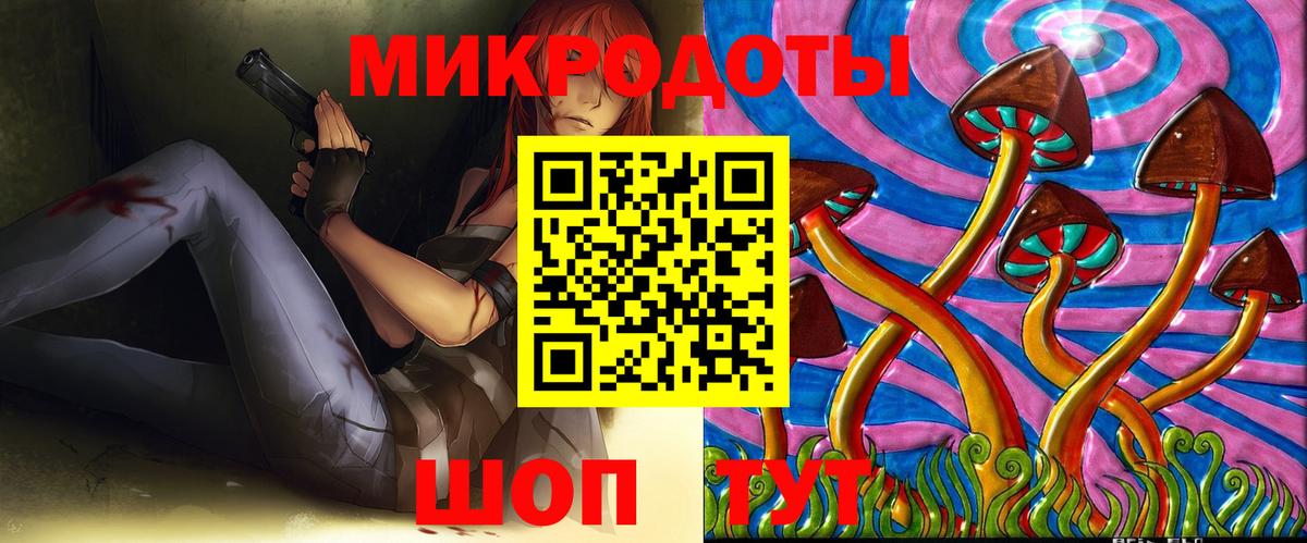Псилоцибиновые грибы Psilocybe Ачинск