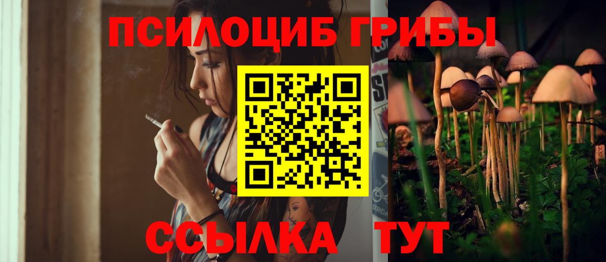 Ачинск  Псилоцибиновые грибы Cubensis  Псилоцибиновые грибы MAGIC MUSHROOMS  Вход с VPN 